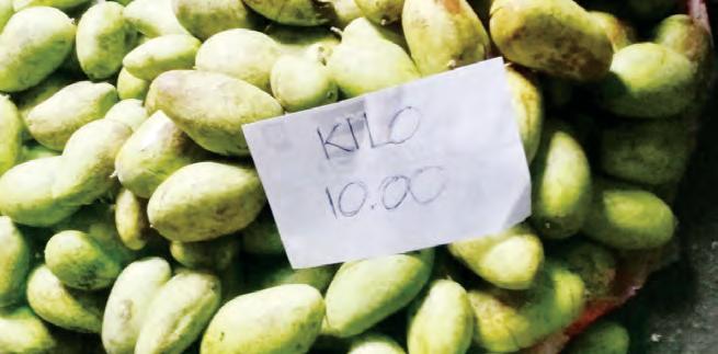Bizmen suffer losses from ‘Uwan’