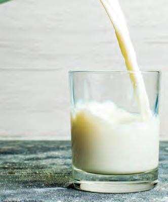 Should you drink milk or take calcium supplements for stronger bones?