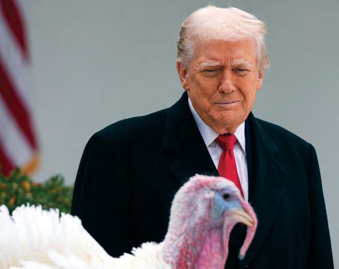 Trump spares turkeys in annual pardoning ceremony