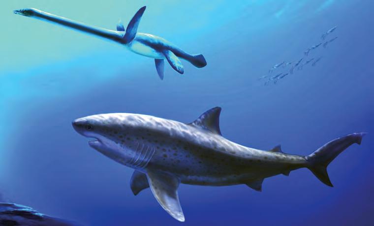Monstrous shark ruled ancient Australian seas before megalodon
