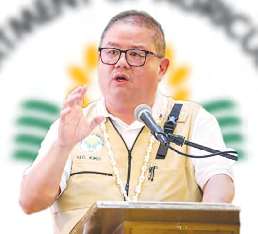 DA rejects call to keep current pork MAV rules