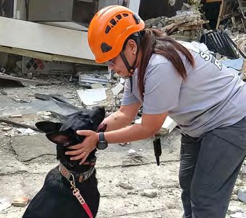 Hope on four legs