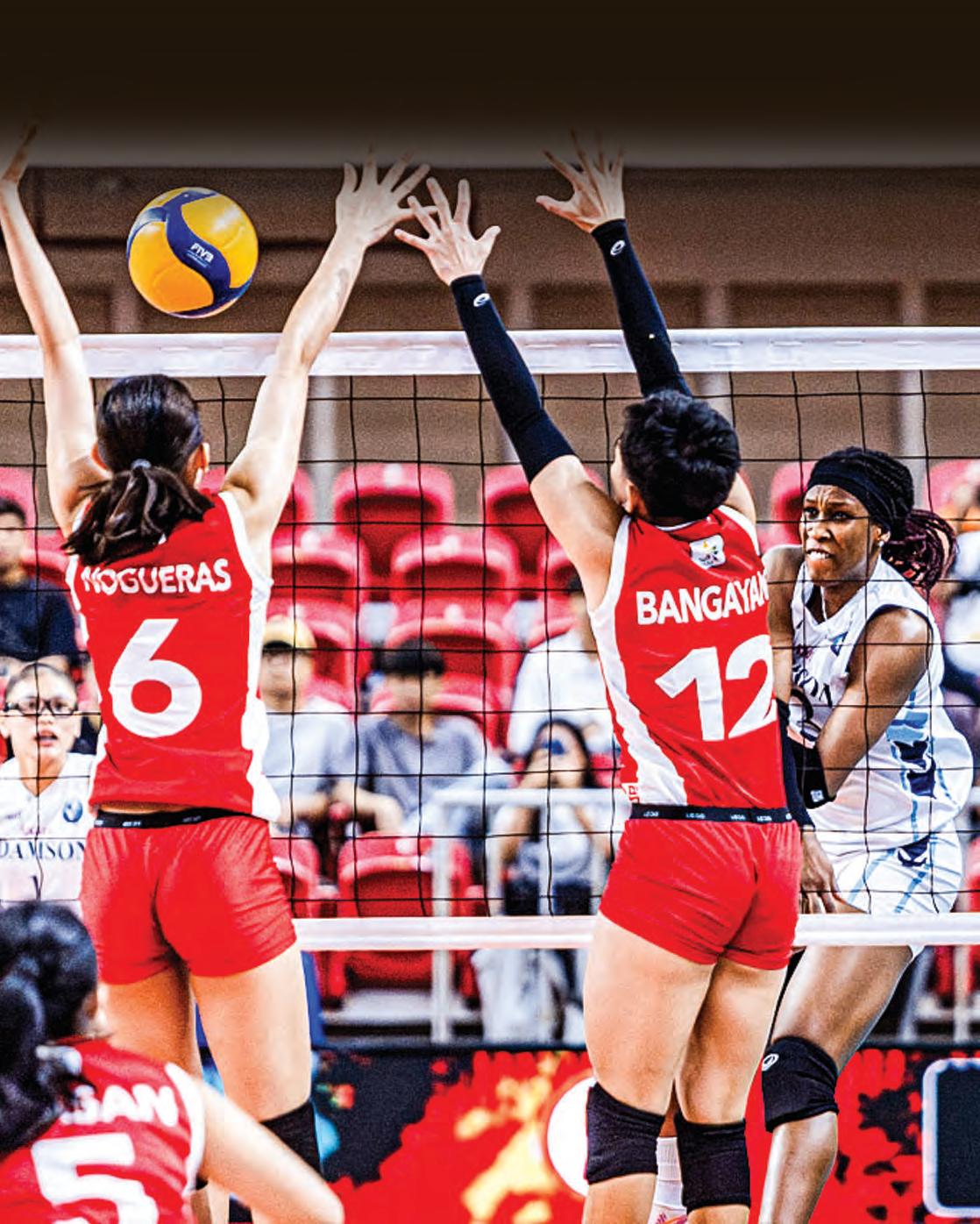Lady Falcons soar high