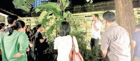 Paco Park after dark