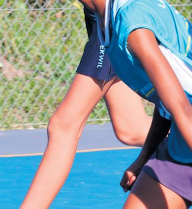 New netball cart for Hoekwil