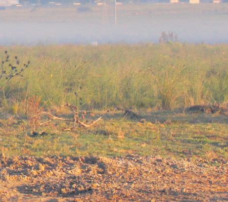 Smoke blankets residents near landfill site