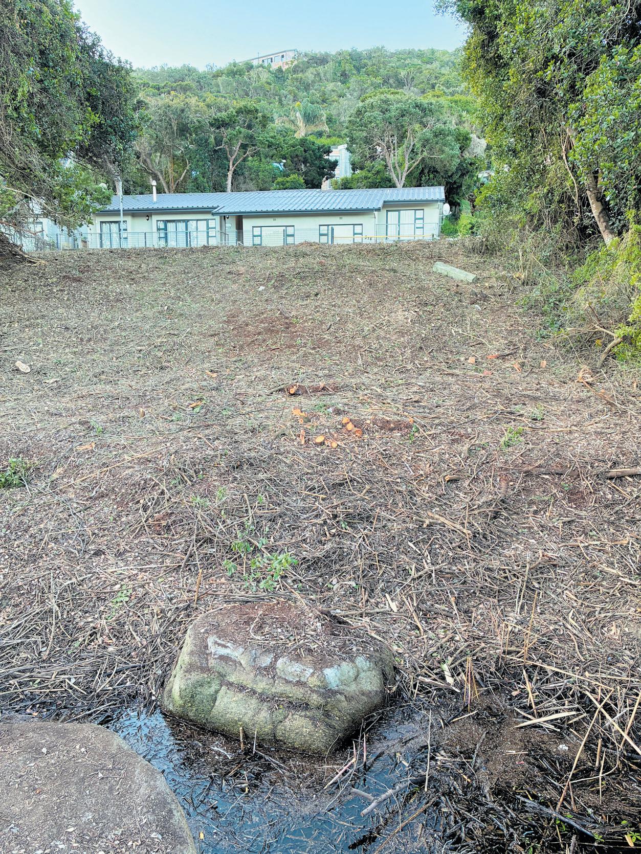 Touw's riverbank loses vegetation 'for the view'