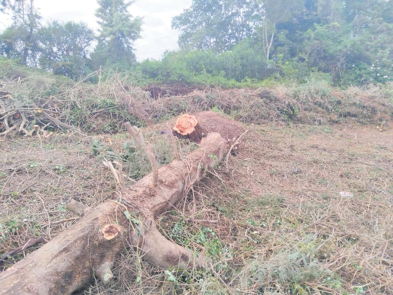 Fragility of nature bows to infrastructure
