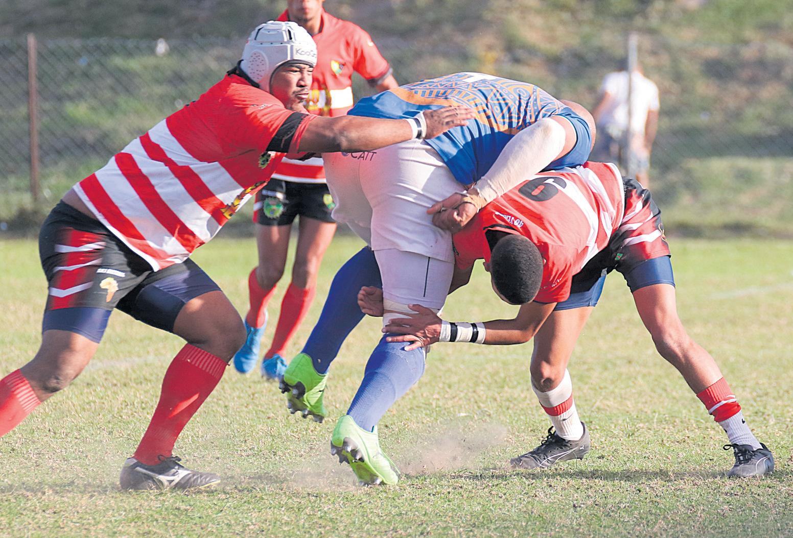 Dis nou maak of breek vir Seagulls