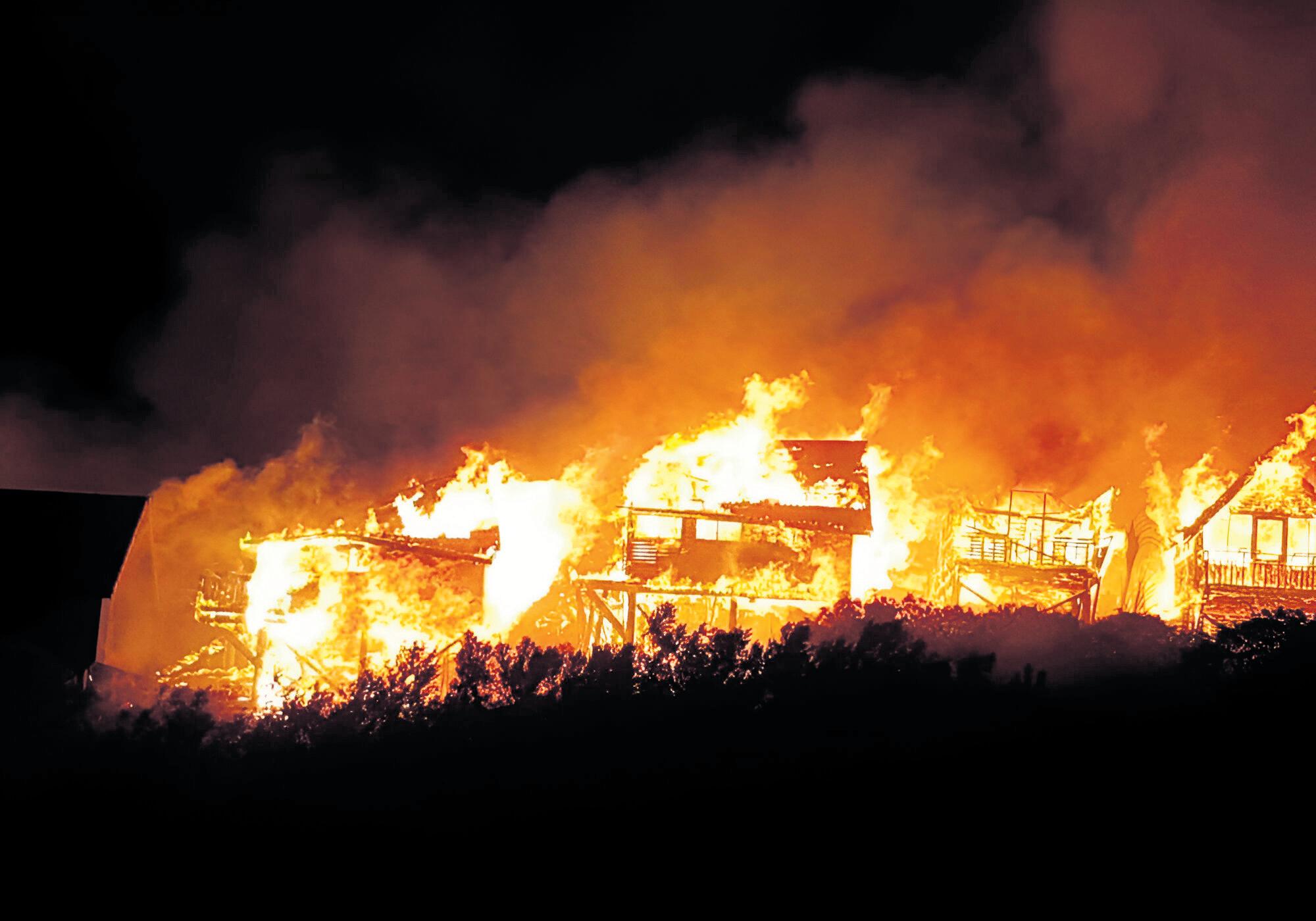Alien invasives deemed a fire risk