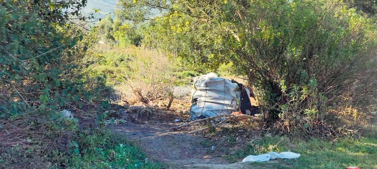 Forest dwellers cause concern