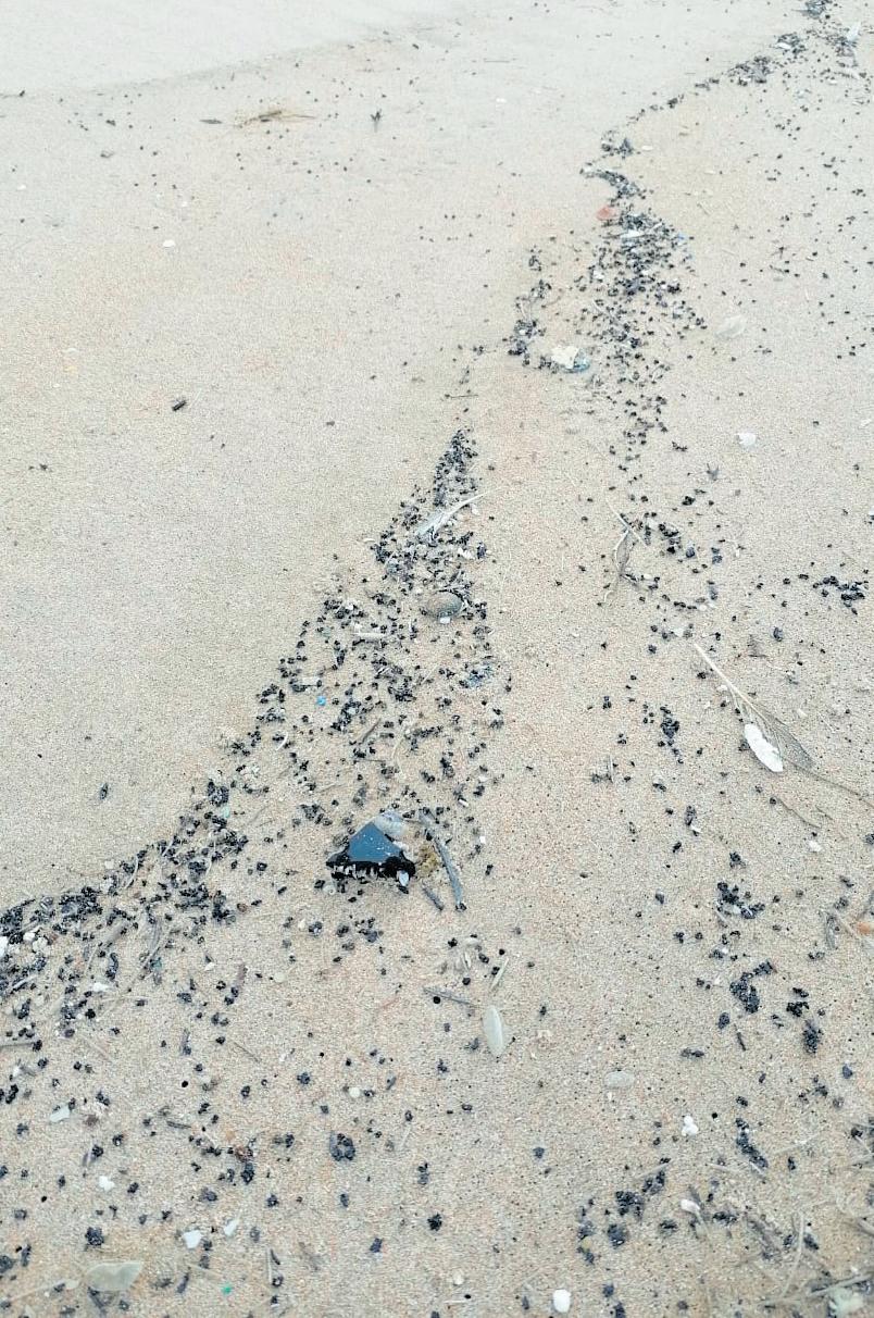 Concern over oil washing ashore
