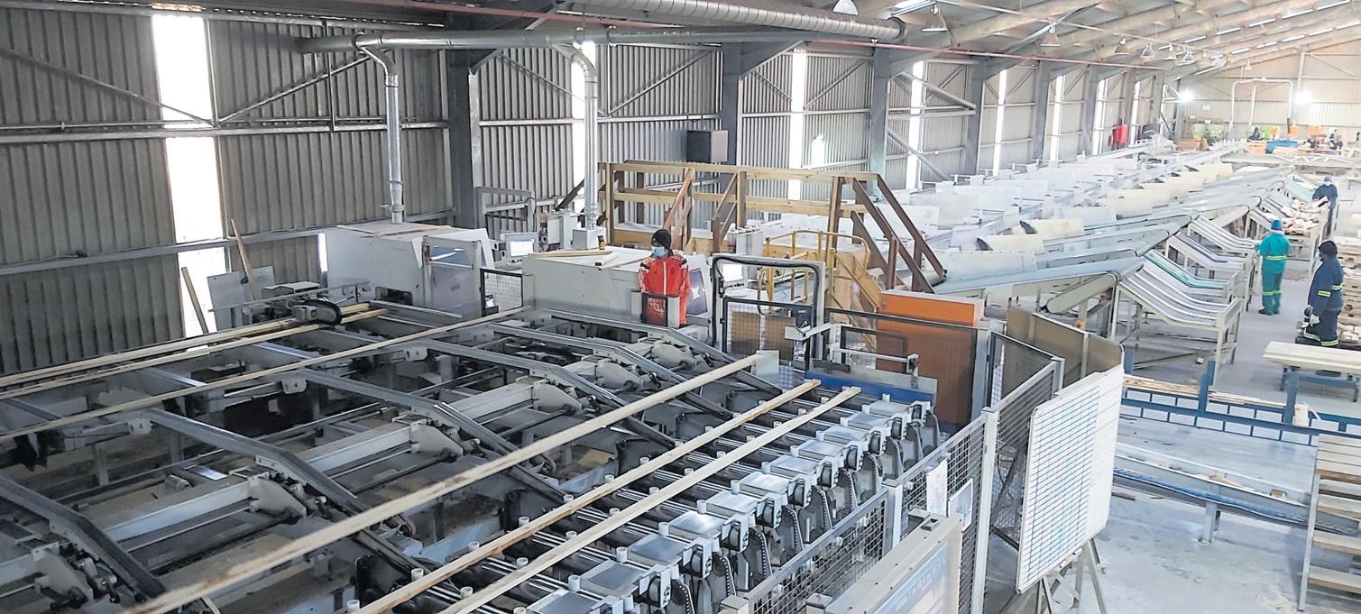 Cape Forest Products creates a sustainable timber future