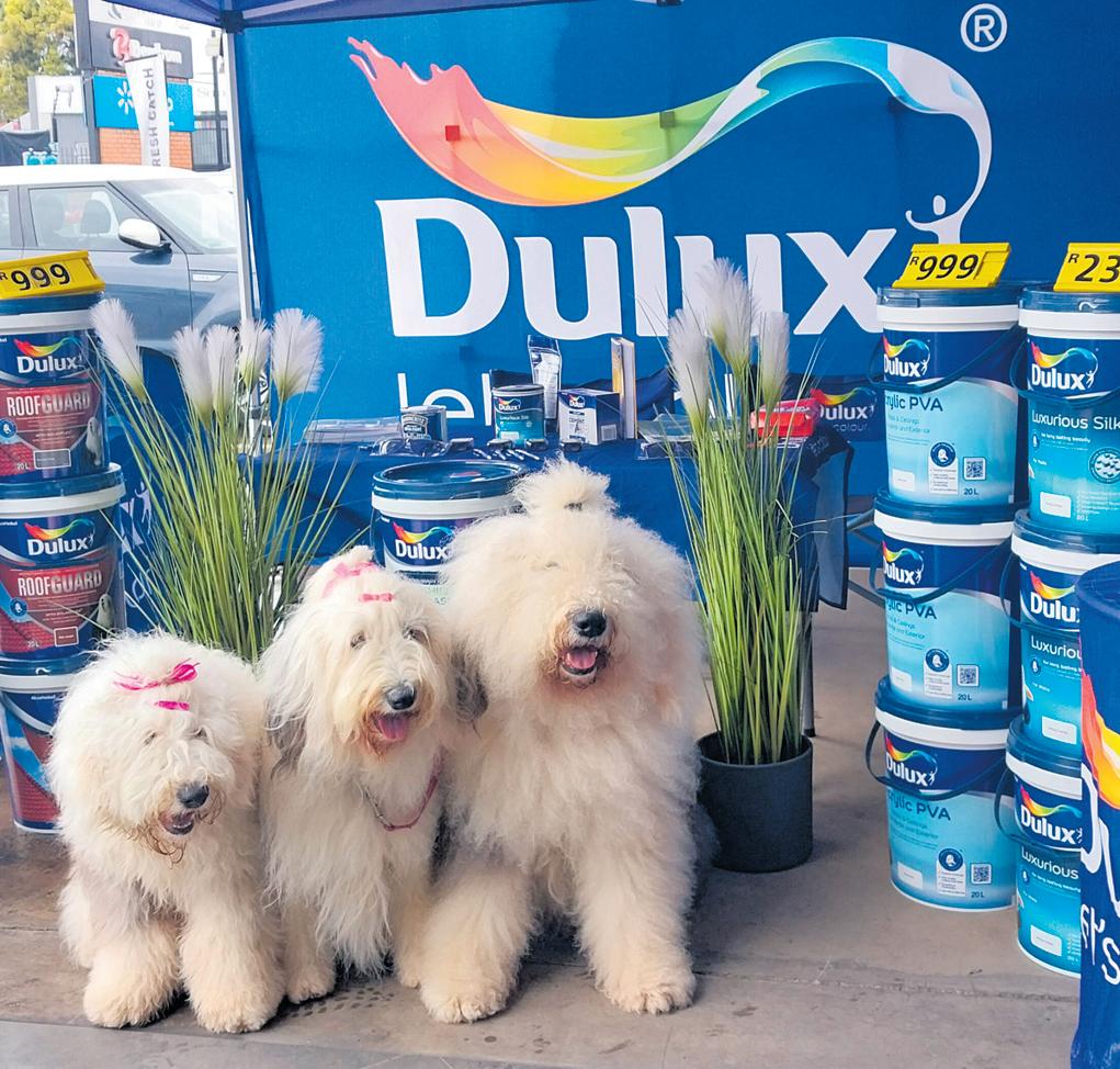 Dulux Dogs to spread colour across Garden Route