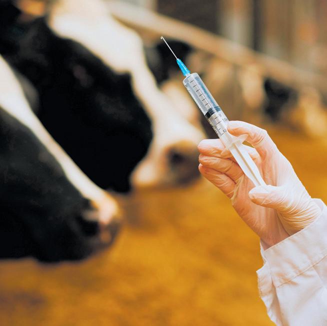 'Vaccine availability critical'