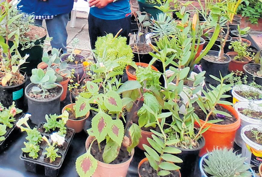 Public invited to George Service Club events