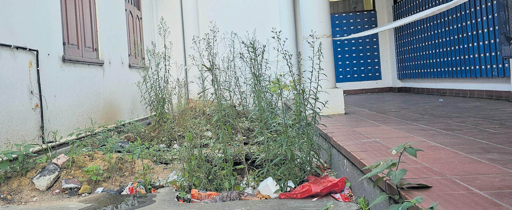 George Post Office neglected but operational