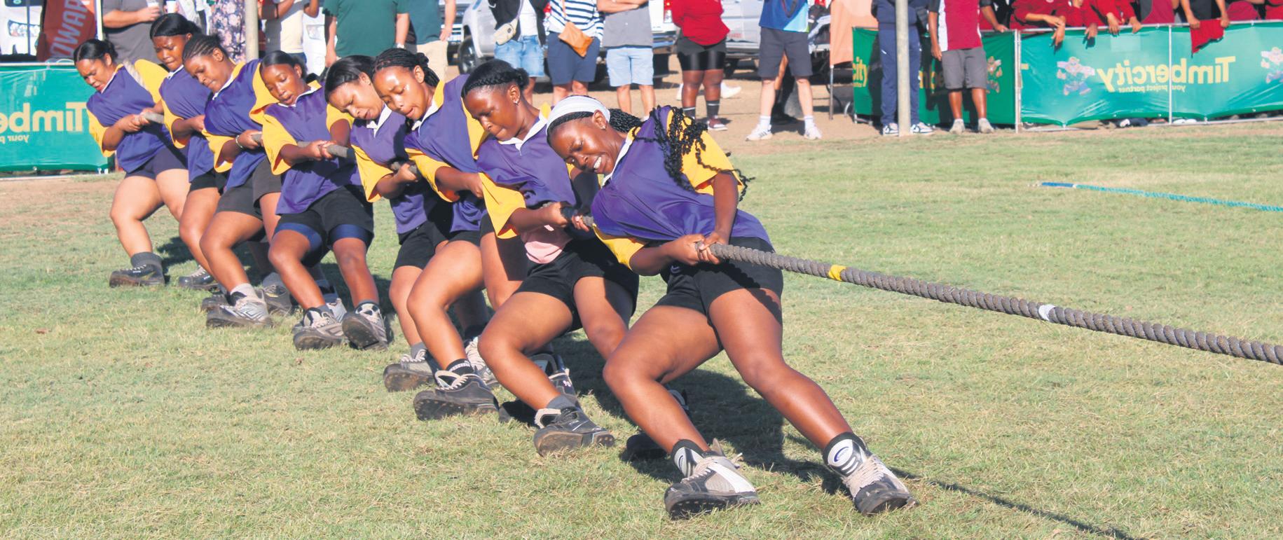 228 toutrekspanne in Oudtshoorn