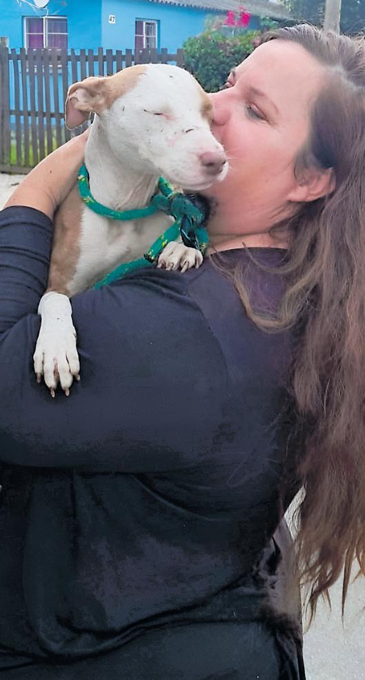 Sentiara saves stolen pit bull from Conville