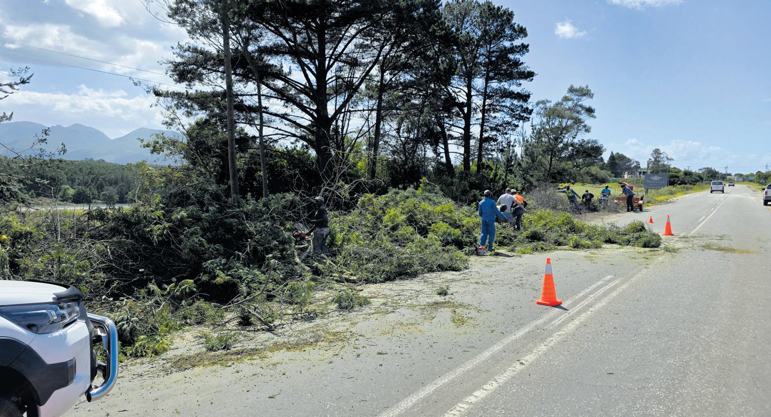 Crime spreads through George's greenbelt areas