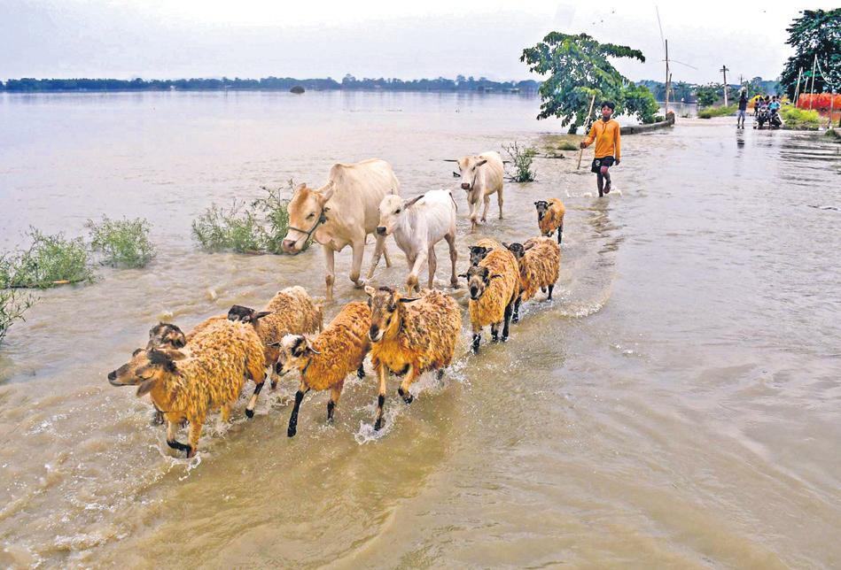 Floods ravage Assam