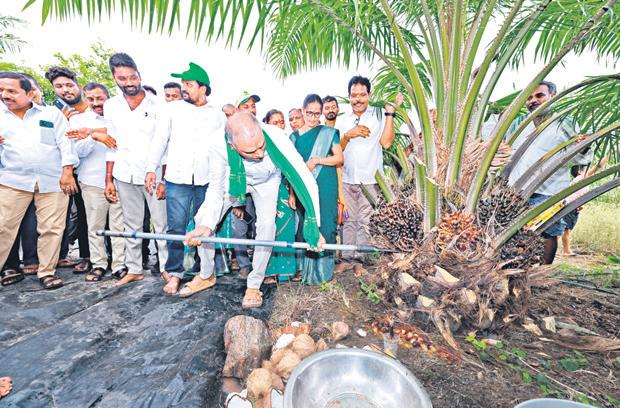 Harish Rao slams Cong for neglecting palm oil cultivation