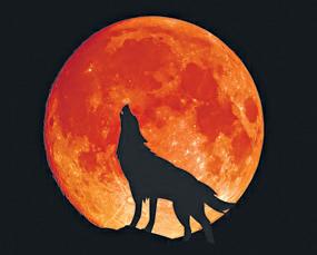 Ring in 2026 under the glow of ‘Wolf Supermoon’