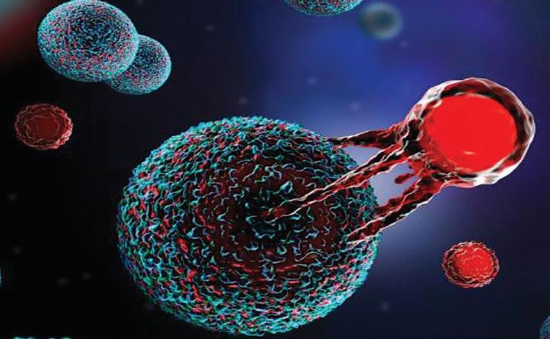 Home-grown CAR-T cell therapies gaining ground