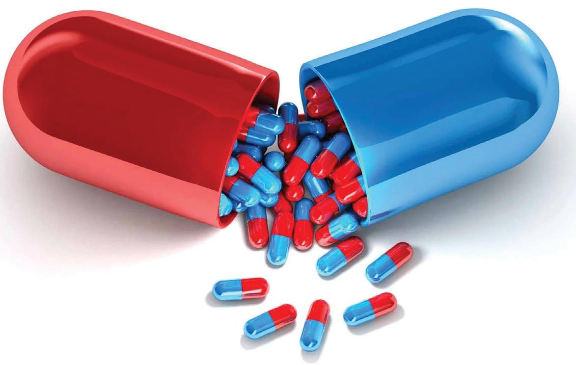 DoP steps on gas to expedite bulk drugs park infra