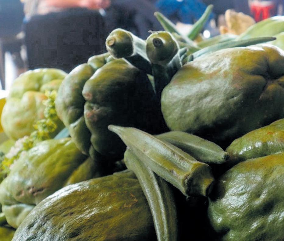 Health fundi recommends these two healthy veggies