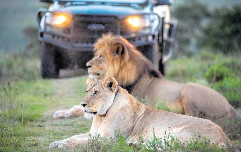 Gondwana Game Reserve