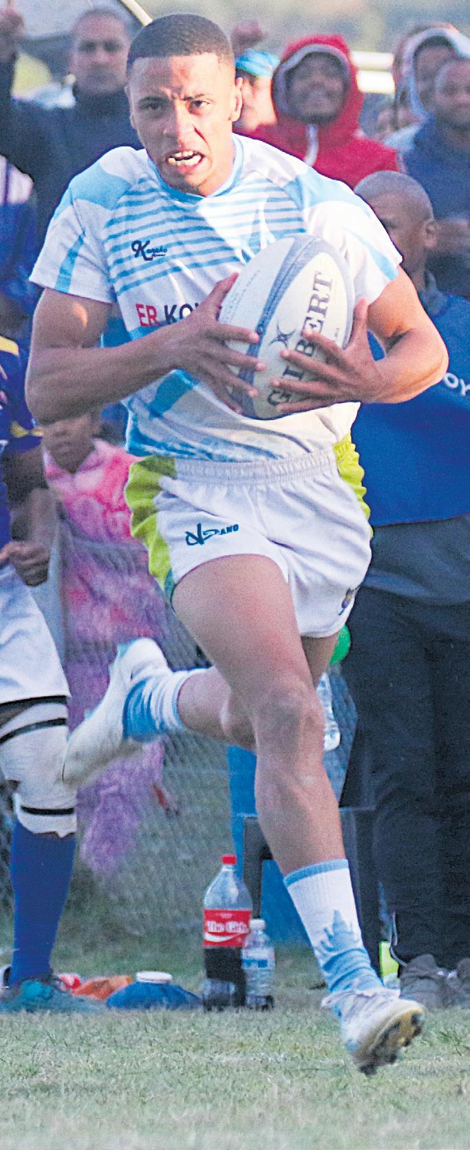 Seagulls wen taai derby