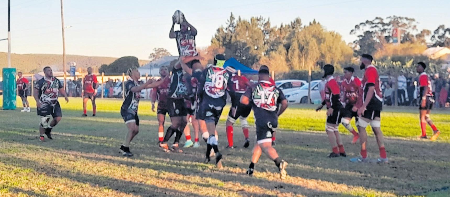 Heidelberg-rugbyklub stoomroller oor Crusaders