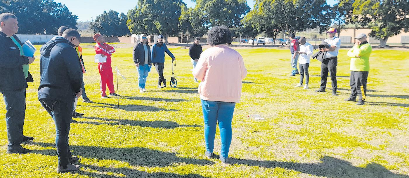 Regte krieketblad binnekort 'n realiteit