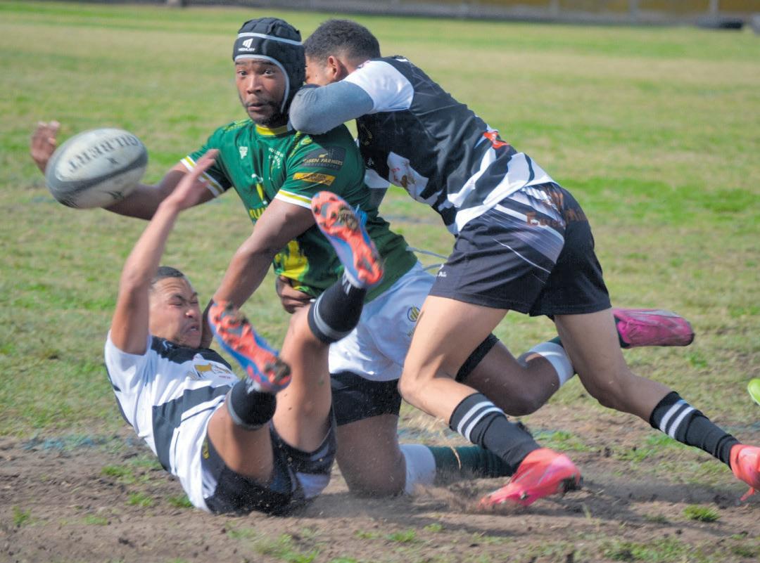 Evergreens breek Heibi se tuisvloek met 33 – 25 oorwinning