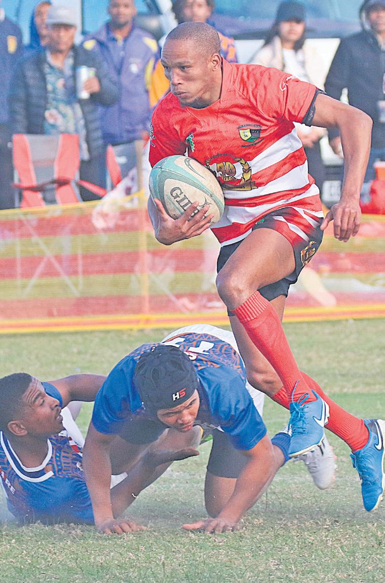 Maak of breek vir Seagulls