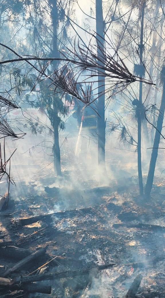 'n Week van brande in Hessequa-distrik