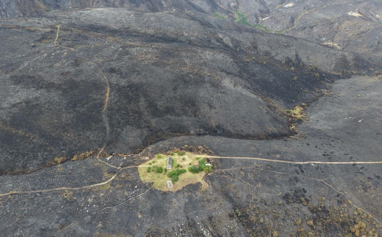 Uitheemse plante verhoog brandgevaar drasties
