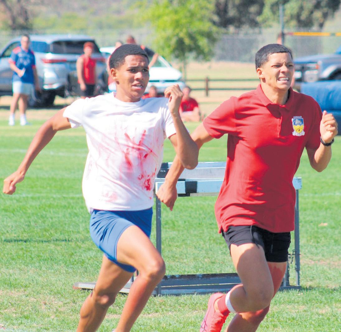 Rooispan se gees en prestasies kroon Oakdale se kleureatletiek