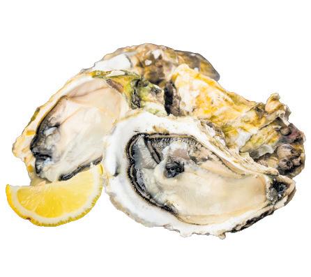 Get ready for the 42nd Knysna Oyster Festival