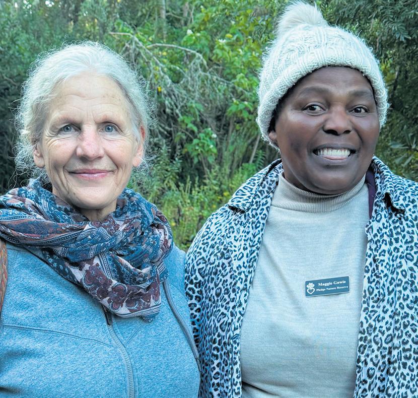 Knysna braces for MASSIVE oyster fest