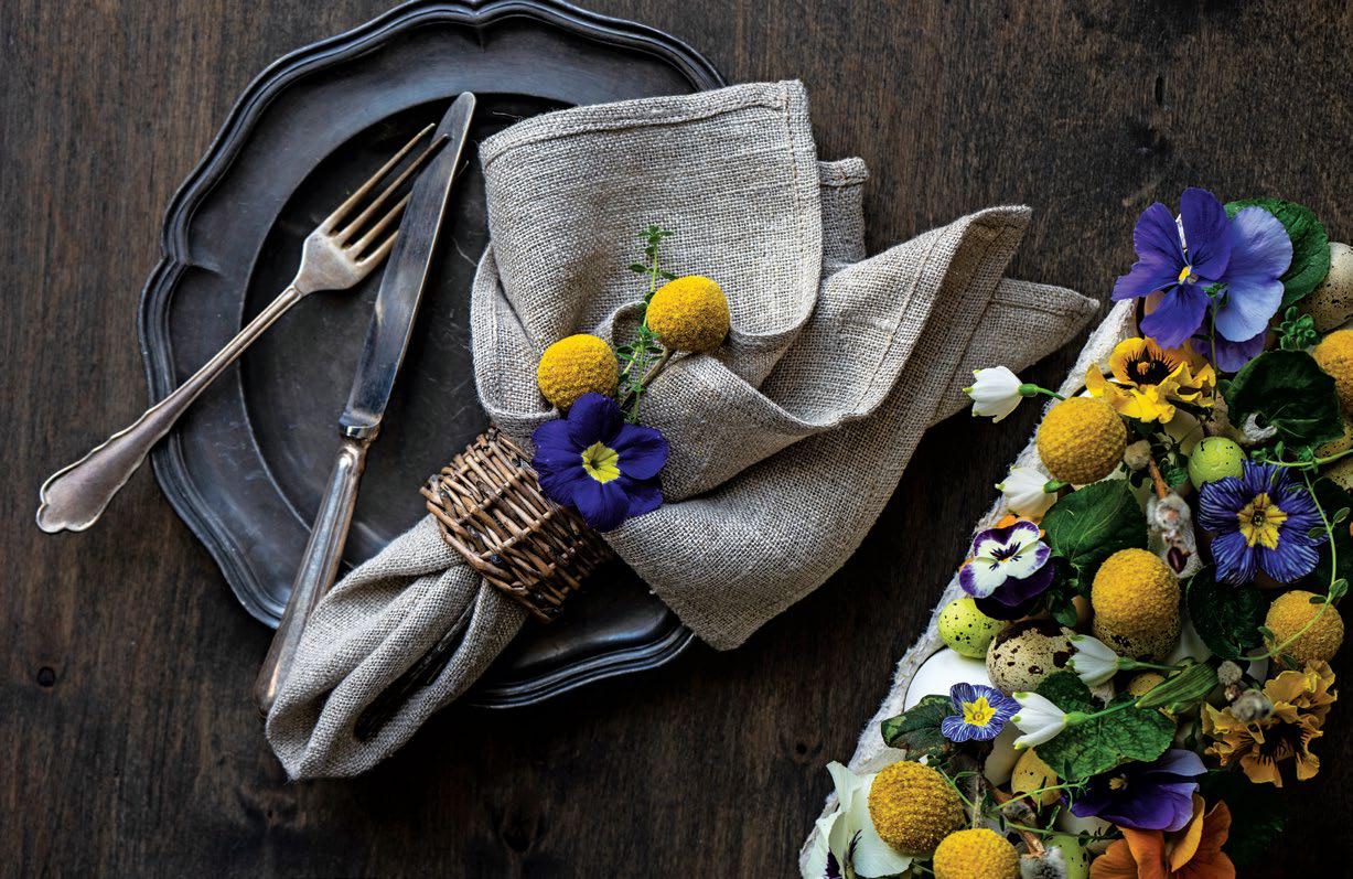 Plates, Palettes & Panache