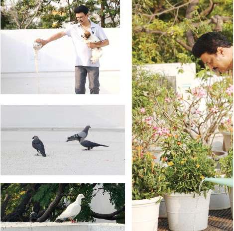 பறவைகளுக்கு நீரும் உணவும் அளிப்போம்!