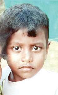 செங்கல்பட்டு அருகே குளவி கொட்டியதால் 7வயது சிறுவன் சாவு!