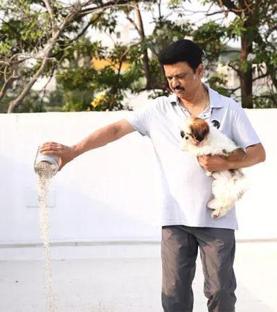 பறவைகளுக்கு நீரும் உணவும் கொடையளிப்போம் முதலமைச்சர் மு.க.ஸ்டாலின்