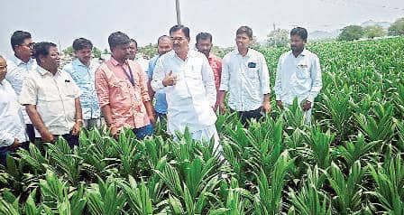 &#3078;&#3119;&#3135;&#3122;&#3149; &#3114;&#3134;&#3118;&#3149; &#3128;&#3134;&#3095;&#3137;&#3093;&#3137; &#3077;&#3112;&#3137;&#3093;&#3138;&#3122;&#3074;