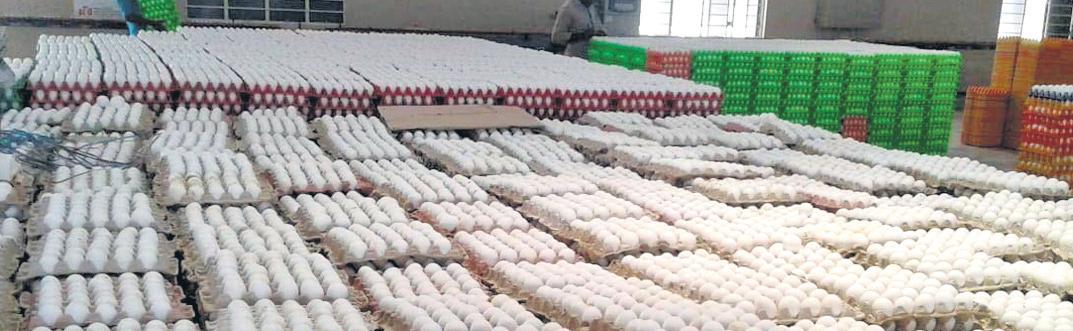 Egg prices touch ₹5.5 a piece but poultry farmers not happy