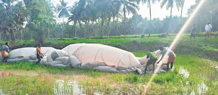 6 Safe as Hot Air Balloon Lands 20km Away in KL