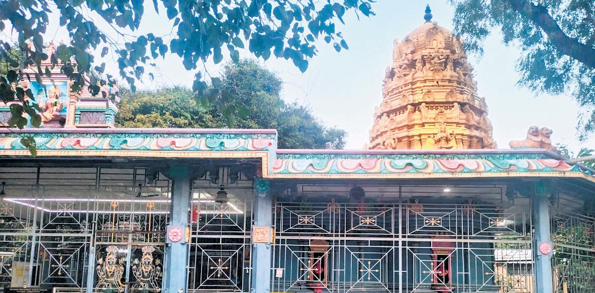 "We are guided by the mantra IIT-M for All"