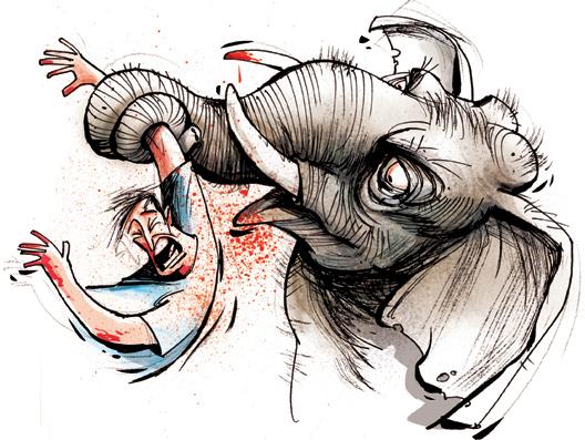 Jumbo tramples tribal man to death at Singara forest range